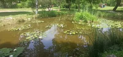 Парк „Горубсо“