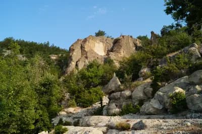 Hotel Meatsa Borovitsa