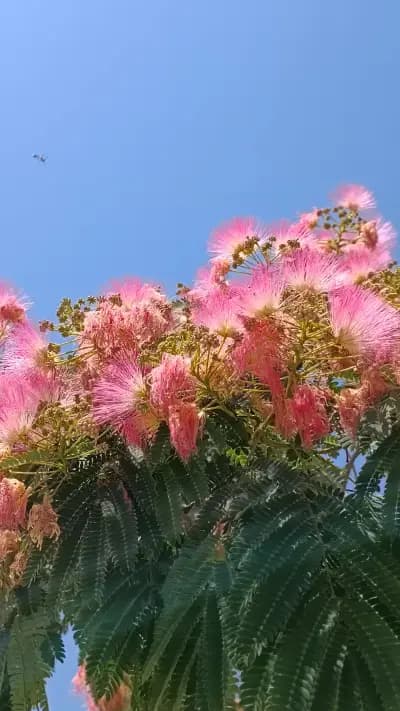 Площад "Поезия"