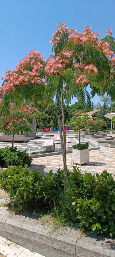 Площад "Поезия"