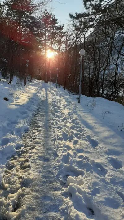 Велоалея