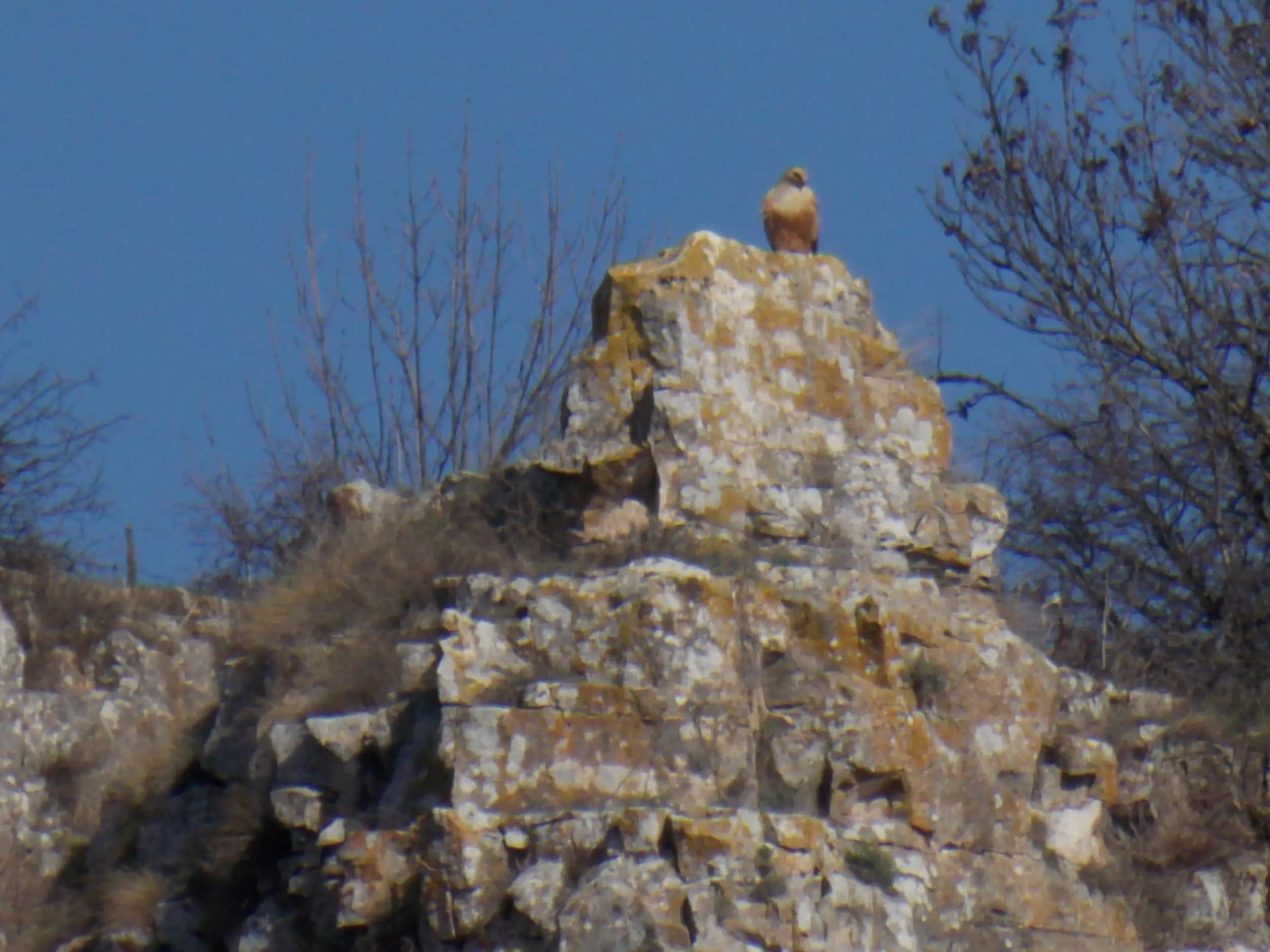 Ждрелото на река Ръчене - Камено поле