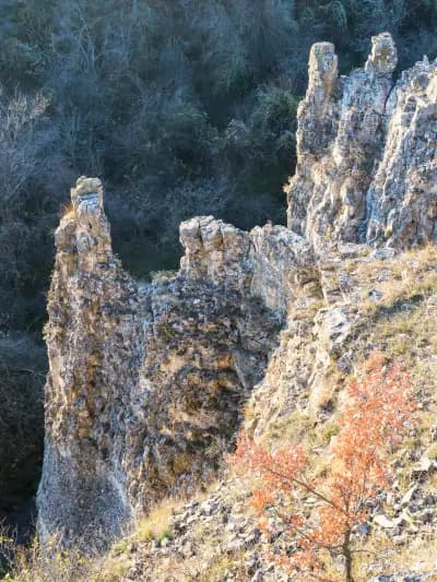 Ждрелото на река Ръчене - Камено поле