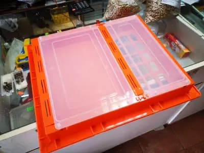 пчеларски магазин Всичко за пчелата