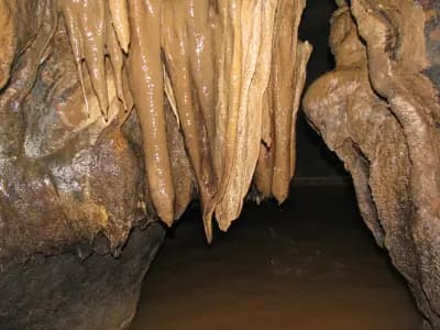 пещера "Башовишки печ"