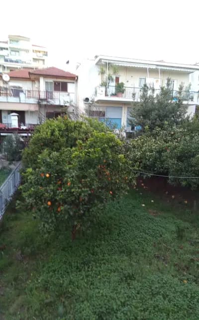 белодробна болница