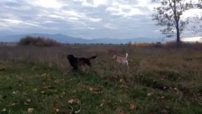 Язовир Конуш