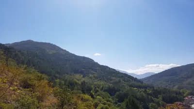 Параклис „Света Петка“