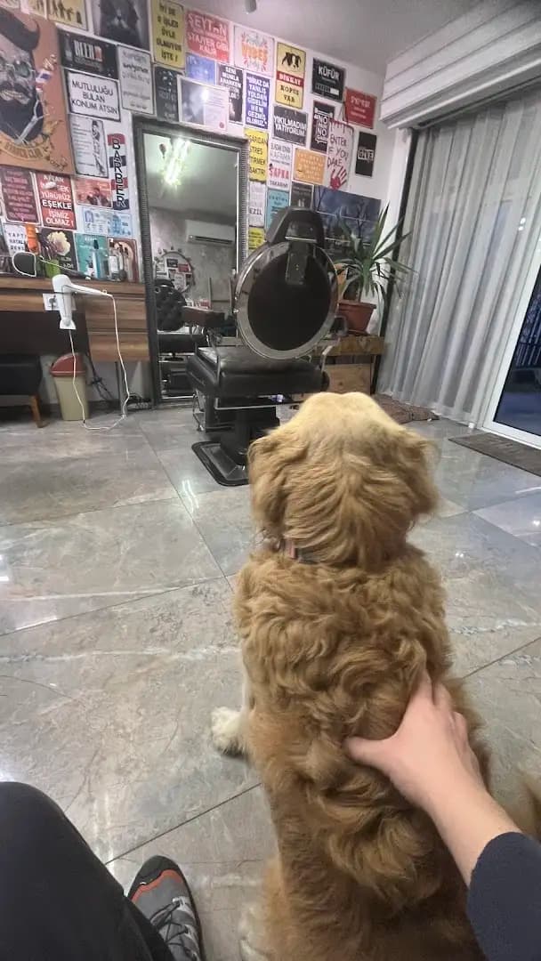 Barber Studio Cengiz Solak