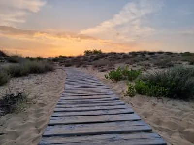 Wild sand dunes Sunny Beach