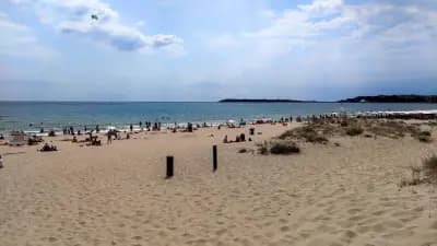 Wild sand dunes Sunny Beach