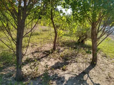 Язовир "Дондуково"