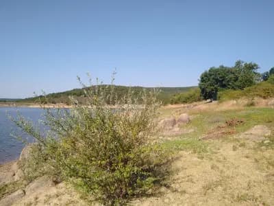 Язовир "Дондуково"