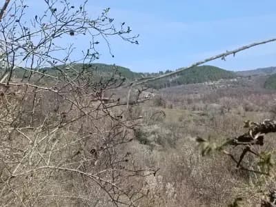 Язовир "Дондуково"