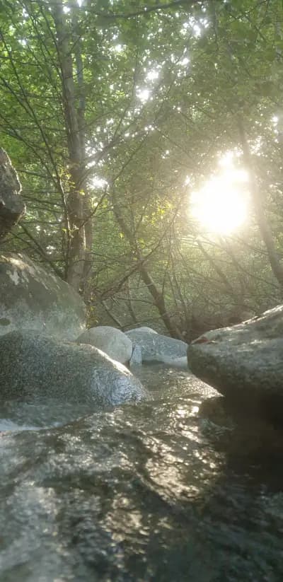 Марков камък