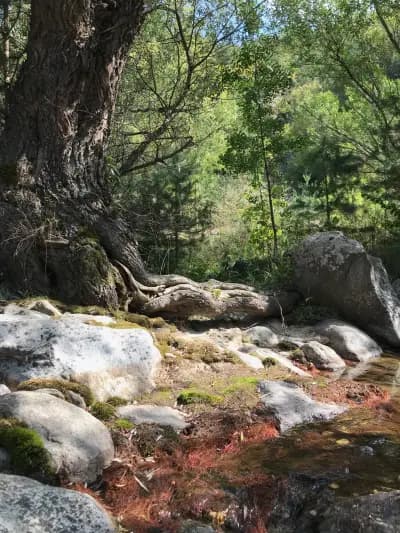 Марков камък