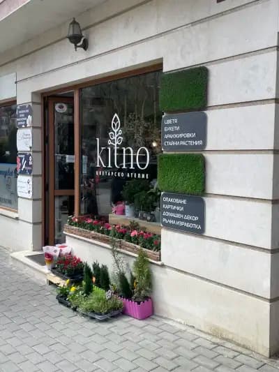 Kitno