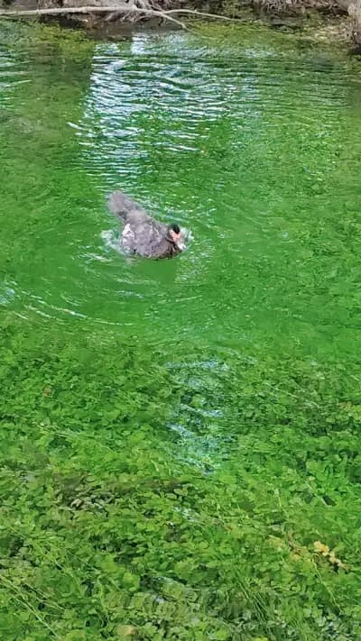 Водопад местност Вилите