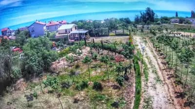 Парк Борисова градина - Галата