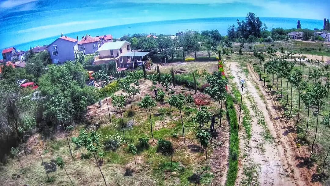 Парк Борисова градина - Галата