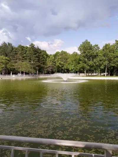 "Беседката на приятелството"