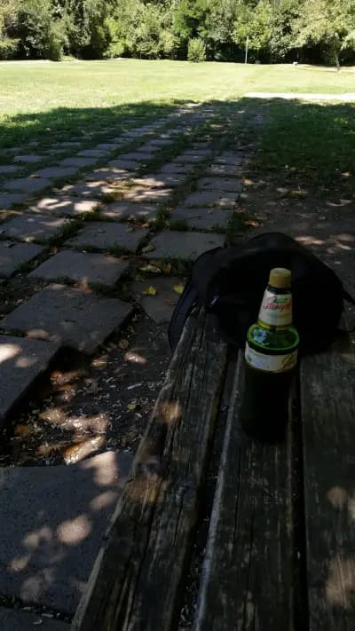 "Беседката на приятелството"