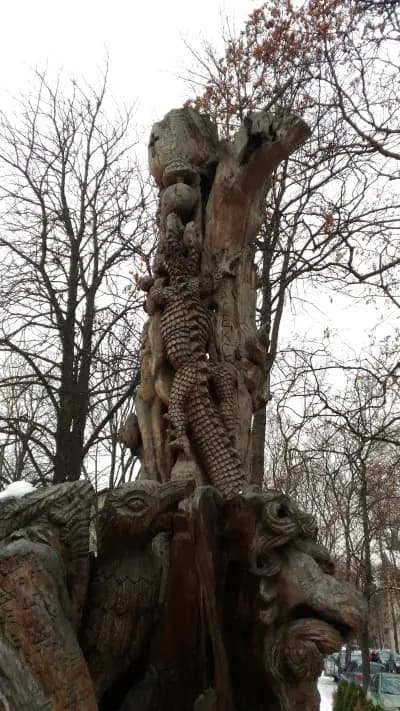 Дървото на Философа