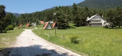 Ливада Бачия