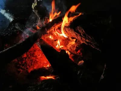 Ливада Бачия