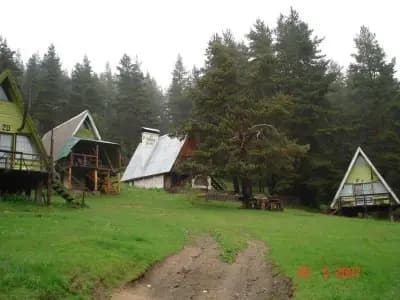 Ливада Бачия