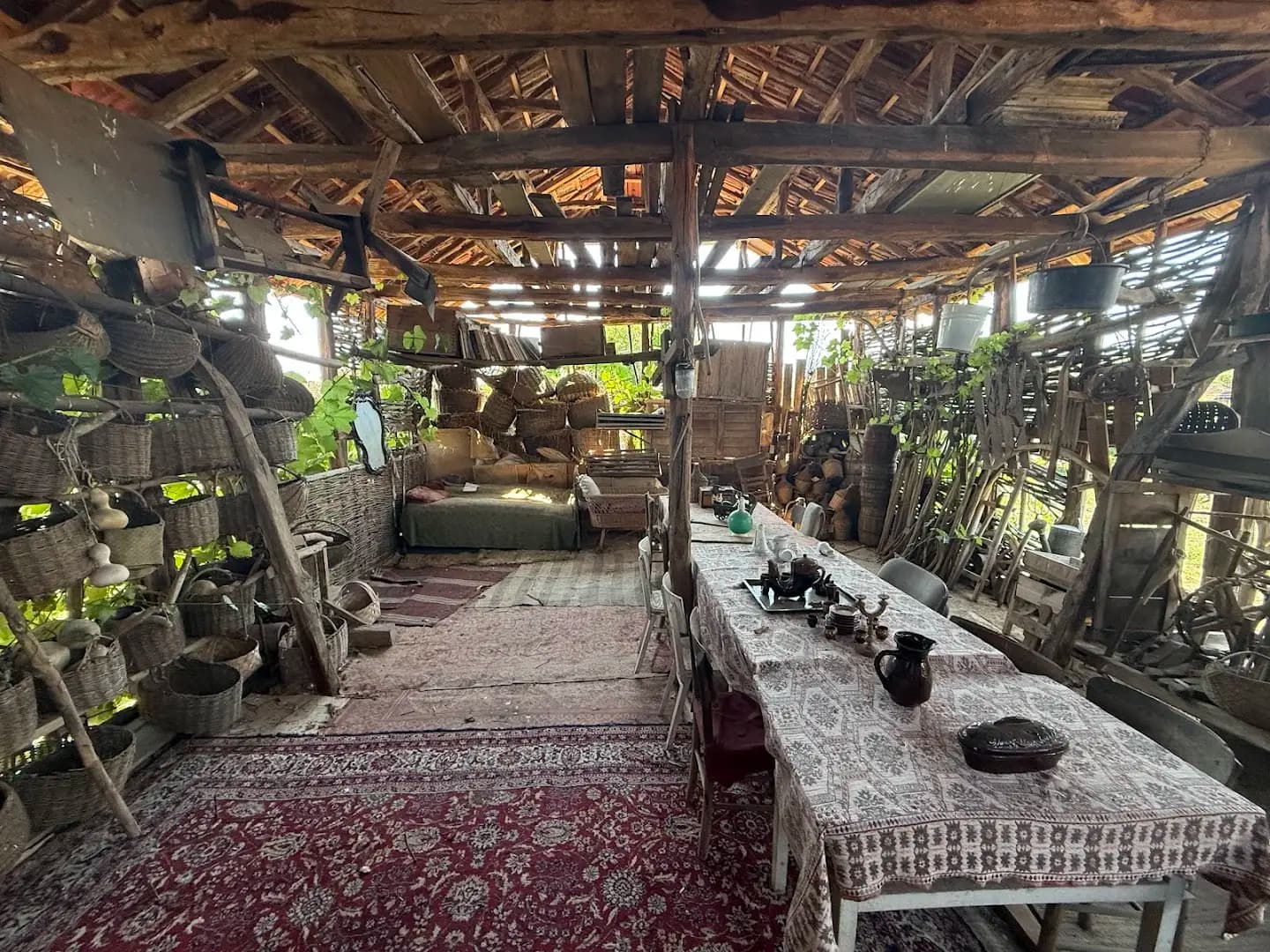 Агрофитнес