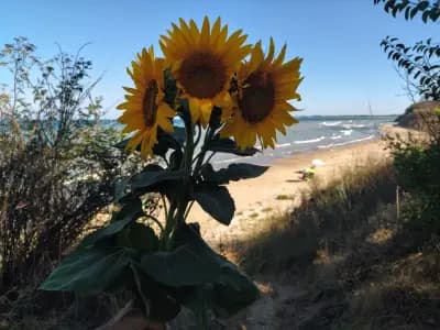 Къмпинг Нарва, Крапец (Camping Narva, Krapets)