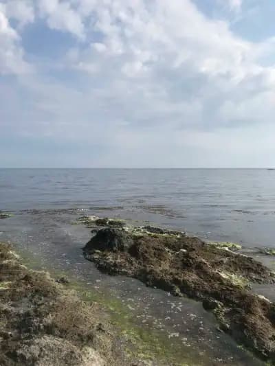 Бунгала „Добреви”