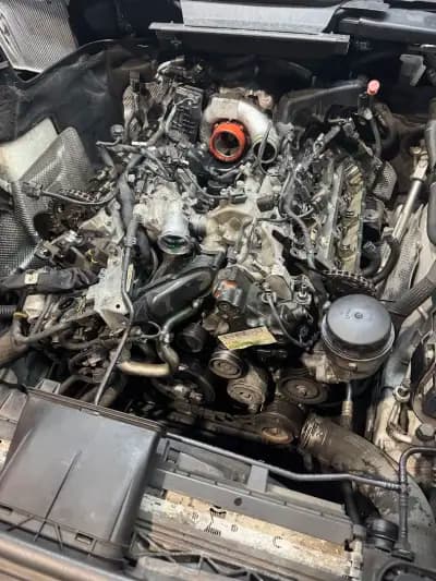 Auto service Raw
