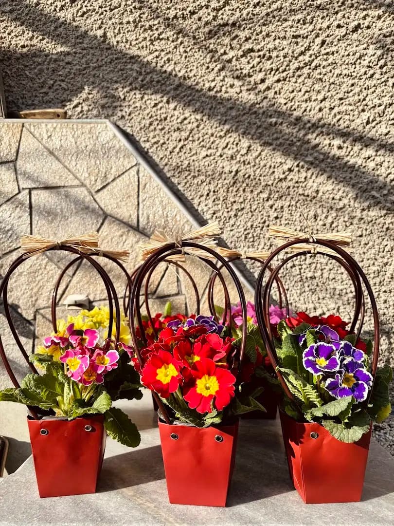 Цветарницата на Катя/ Katya's Flower Shop
