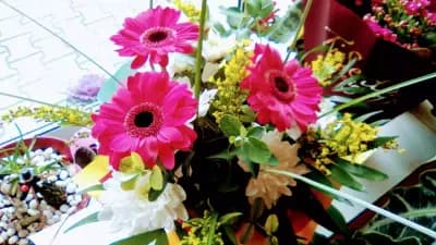 Цветарницата на Катя/ Katya's Flower Shop