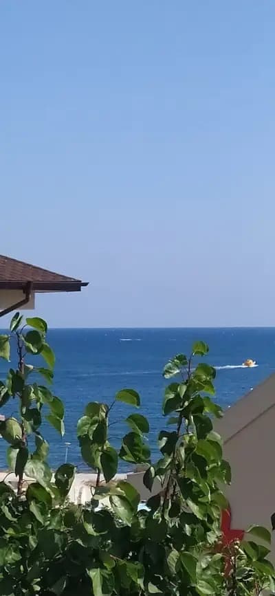 Вила Амадеус