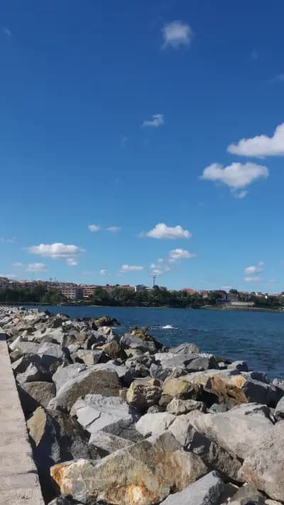 Рок Клуб Никита