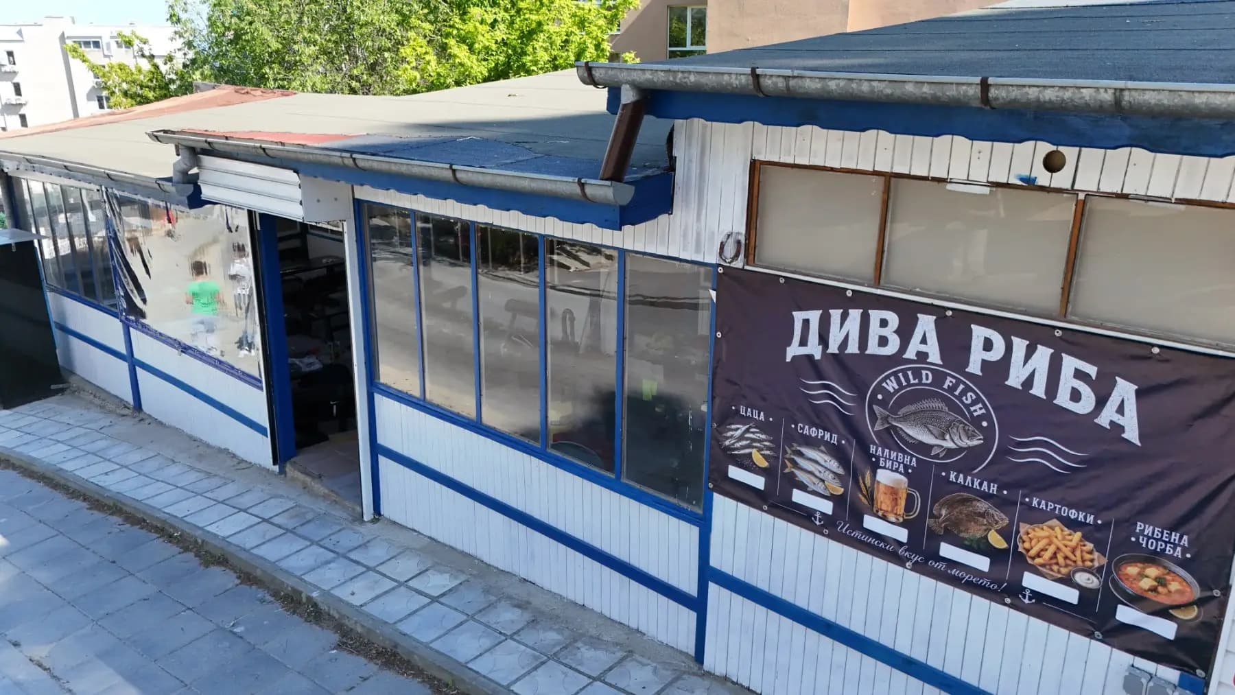 Дива риба