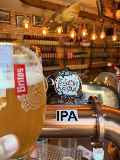 Beer Shop Shark Nessebar — Craft Beer & Draft Beer To Go