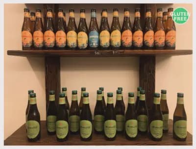 Beer Shop Shark Nessebar — Craft Beer & Draft Beer To Go