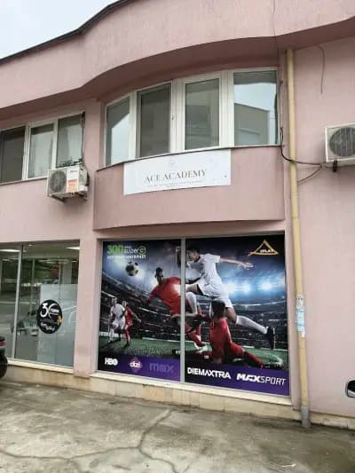 Ace Academy