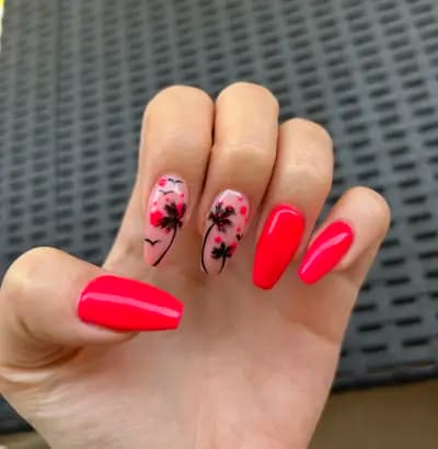 Studio Claws