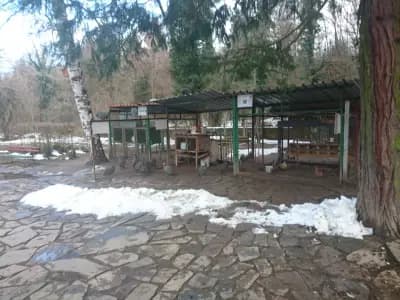 Зоокът