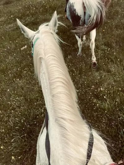 Ездитен клуб и Конна База Конярски / Horse Riding Koniarski
