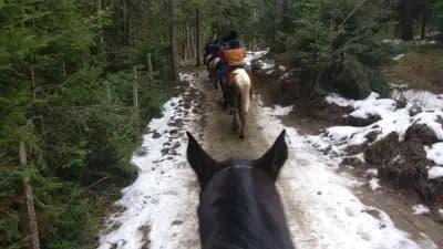 Ездитен клуб и Конна База Конярски / Horse Riding Koniarski