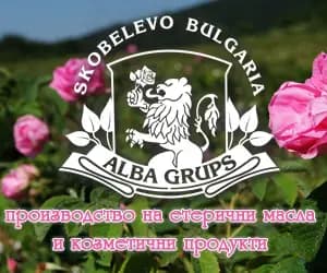 Alba Grups Ltd