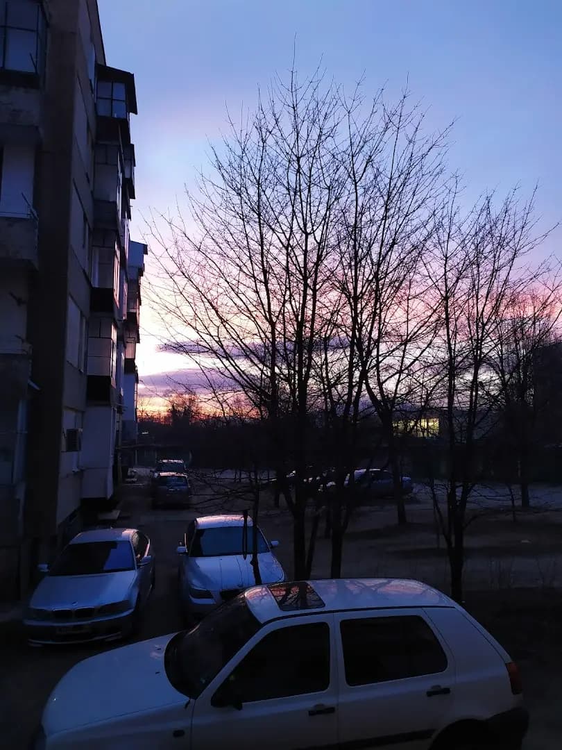 Дарис фууд