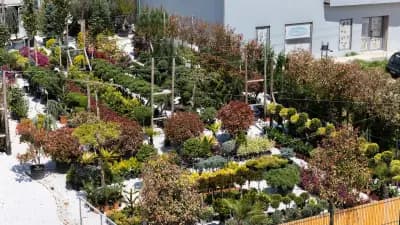 Boutique Botanic - Бутик Ботаник - Ландшафтно Архитектурен Център
