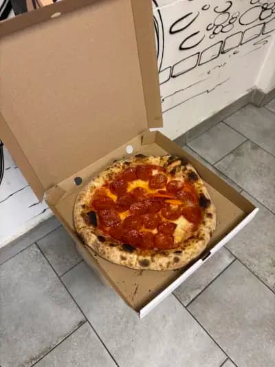 Forno Magnifico